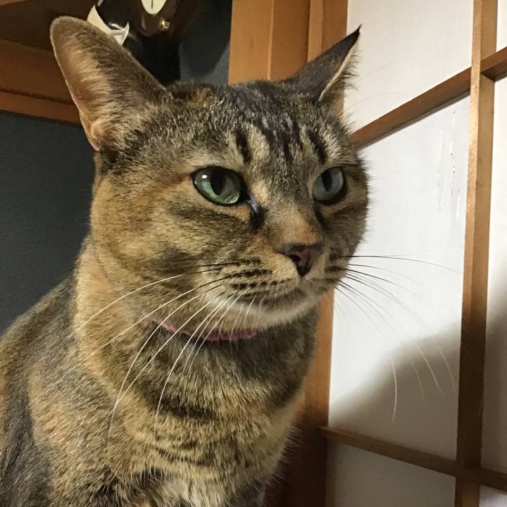 7e8401b0 312e 4874 ad3f 8c9dcdd14fed 1735552072704