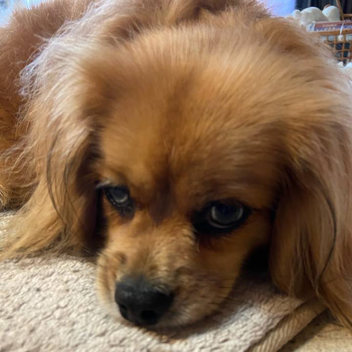 7e843259 5b38 497c a8c1 26420579d037 1595027084929