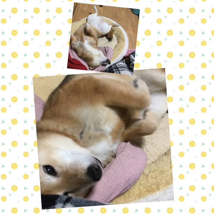 7e8435e3 e434 4b48 9956 2c22377bf8d7 1585311675524