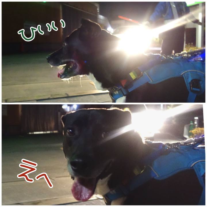 7e844bda cb65 4f69 ac0b 86301560cf71 1681988931043