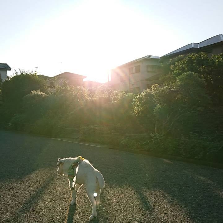 7e845c63 b0f9 472e 87a9 68c36bc63ac6 1601250356316