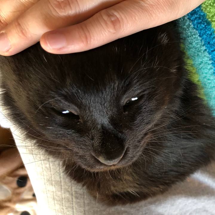 7e849771 4239 4faf 952d 328436601a03 1587381862989