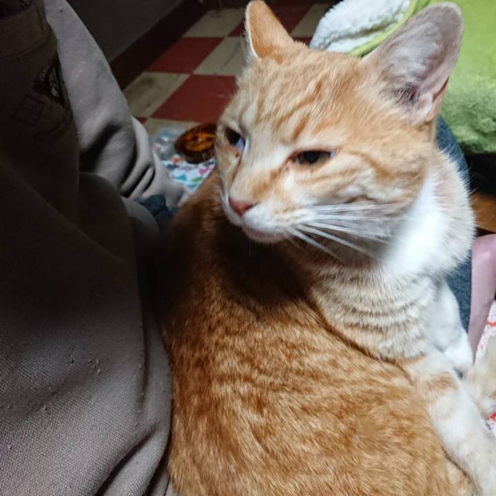 7e84b899 106f 458d bda8 429d8988dfd9 1588103752606