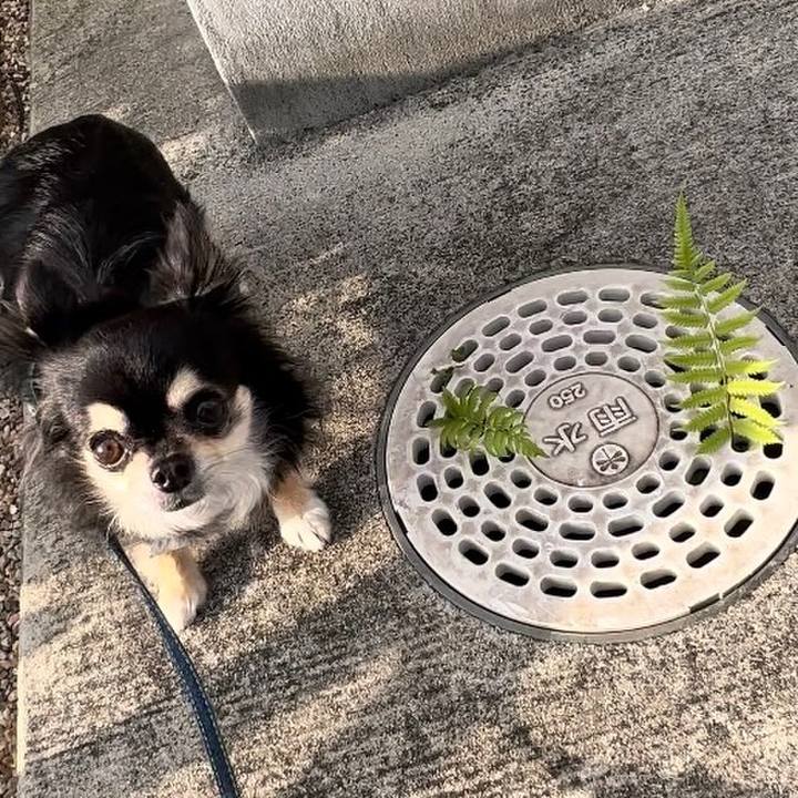 7e84b95e 31de 419e becc 2a8d07803a6c 1690193434333