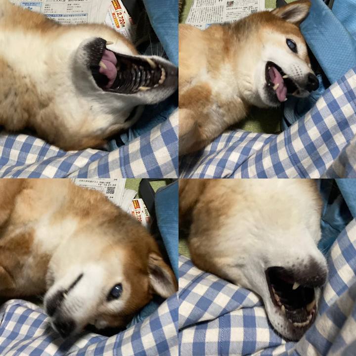 7e85462e 3889 440c 9b28 b2f04994800e 1673871854803