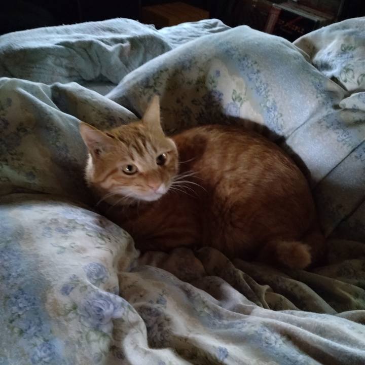 7e856962 3b15 4918 8eba 27510cc40adc 1665367728734