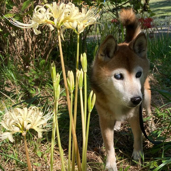 7e858f3d 3bae 4e09 8893 326a73309aa5 1758789109538