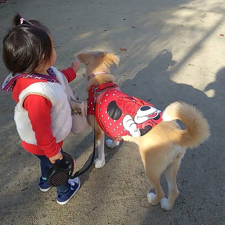 7e85b8c2 ef41 4b07 aa7d dfa83ff9e7e5 1542499231610