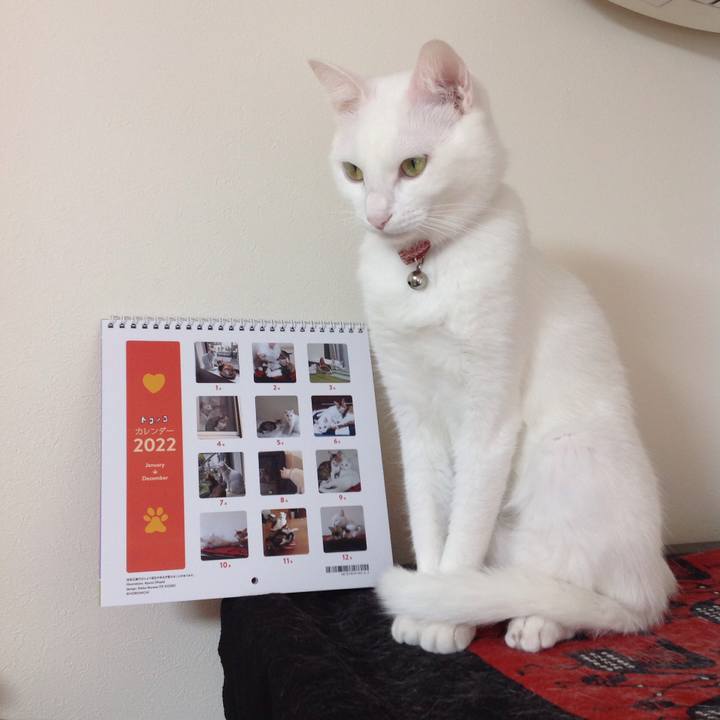 7e8637a8 fee4 4672 85a8 04a465e09174 1637207291671