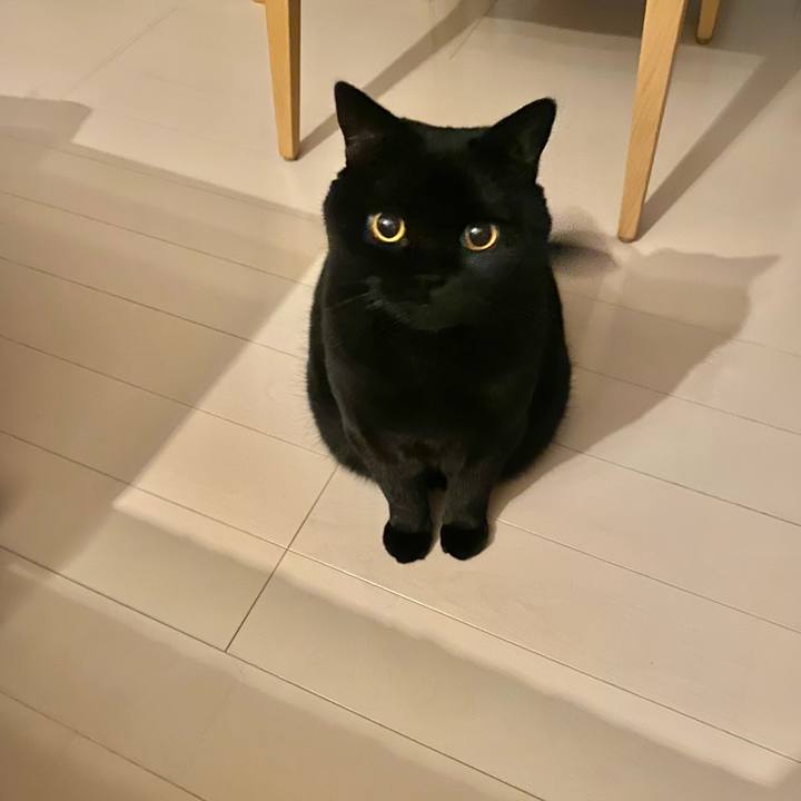 7e8660f4 0063 4315 8267 d7871bae3ad2 1734350890863