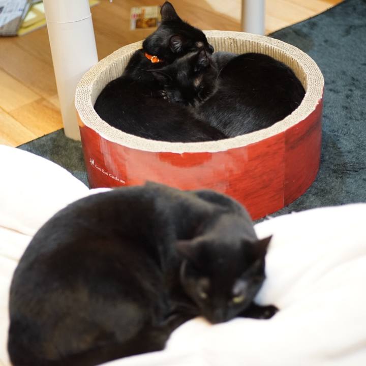 7e866941 ae81 4ce1 b0c5 39a148a24204 1522242362393