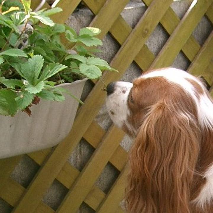 7e866cad 6743 4e94 897b eeb8d4229c0b 1514632708949