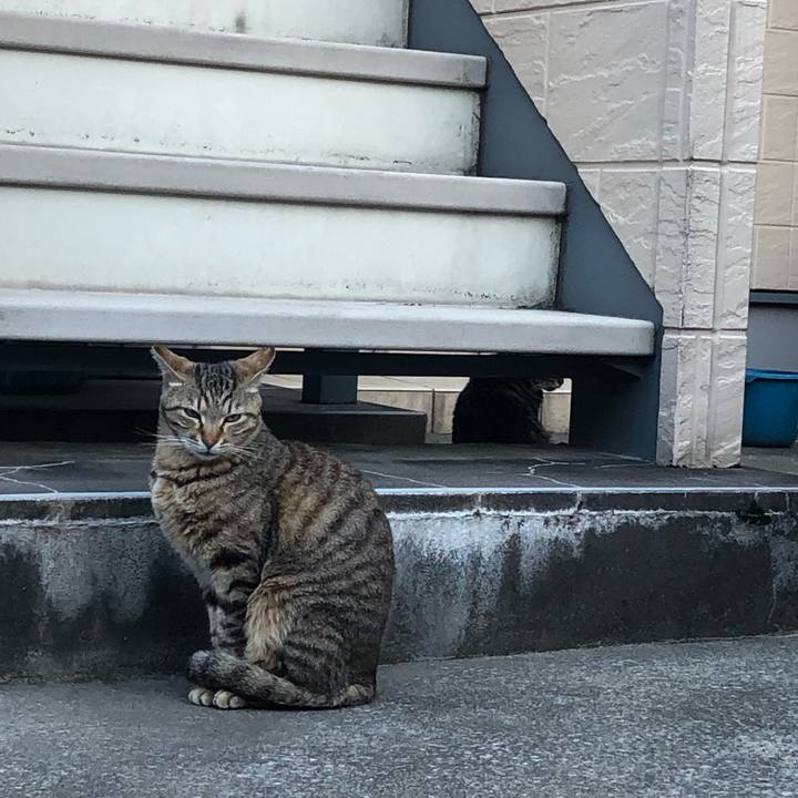 7e86944e 2dea 43f0 b412 0d30ef864e2d 1556987855118