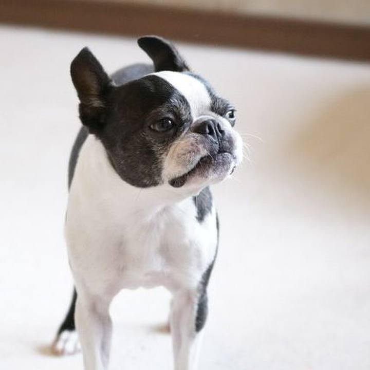 7e86e85e c2d3 414b 8b1c 46e1cdb61e17 1530663333896