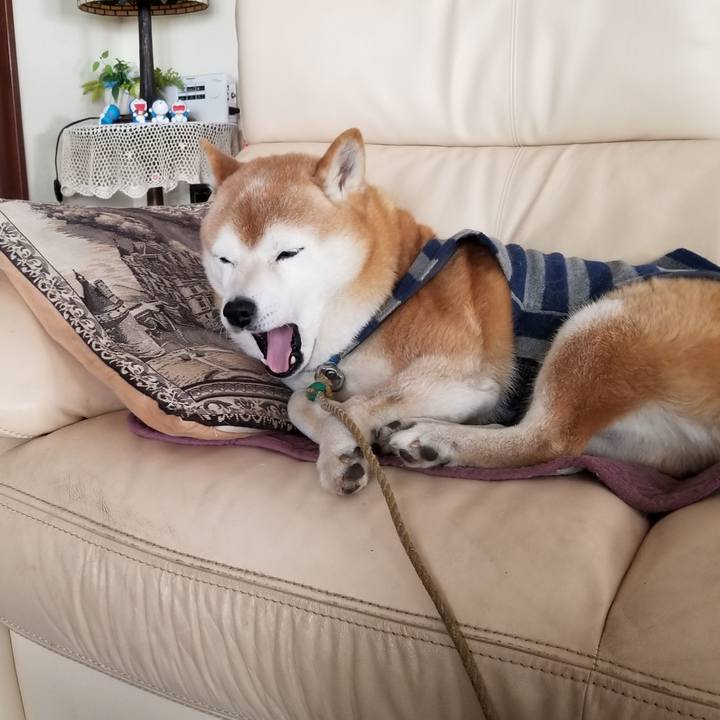 7e86f5b3 e88c 4485 863a 291c8e957910 1674265418496