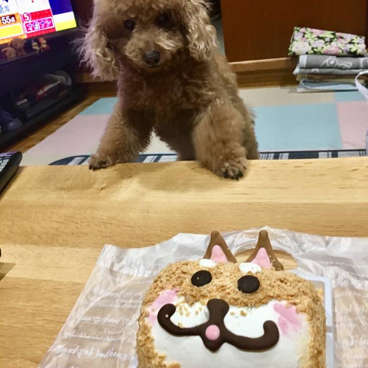 7e873924 6a8a 418b b31a 454a00607188 1516876041091