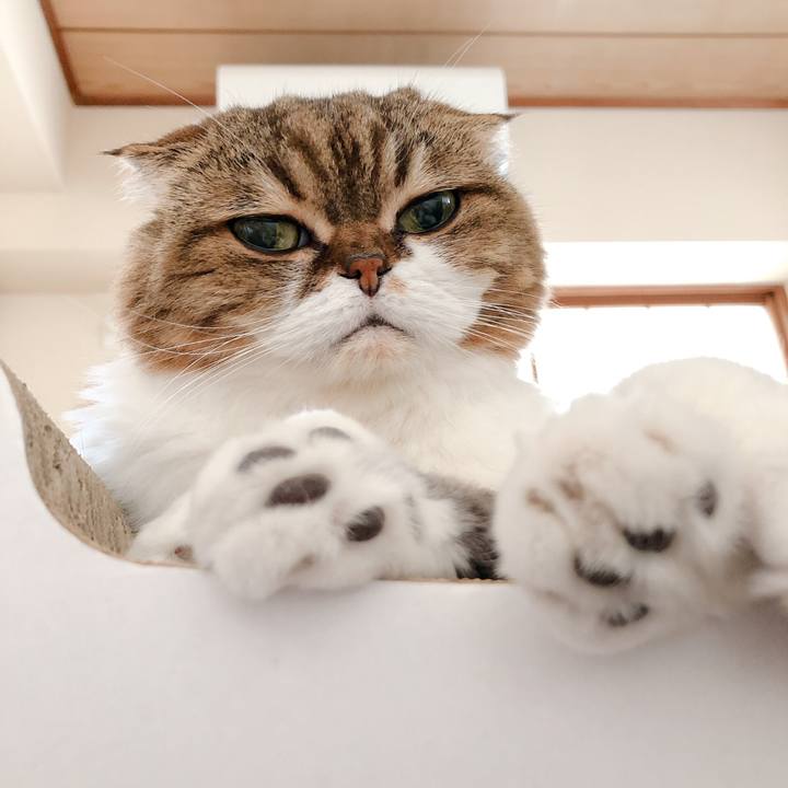 7e875310 a6df 4f4a 81d7 b77a9526dcb2 1566700148389