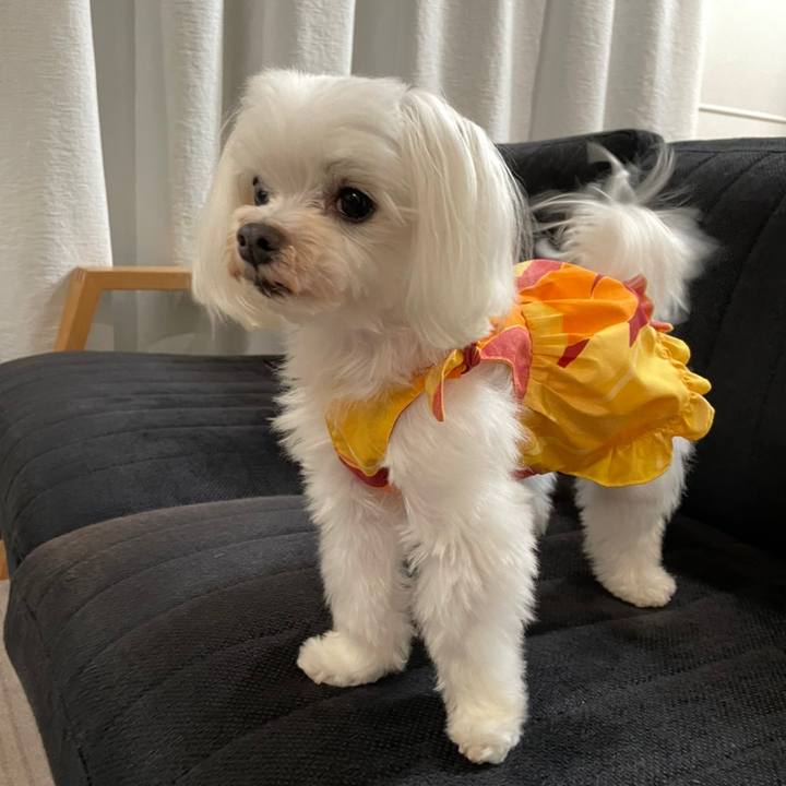 7e875f49 9652 4a55 900a 3f4532434520 1656892732538