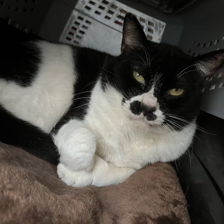 7e87776c ca58 47df 981a 1566bb5f1409 1713078327866