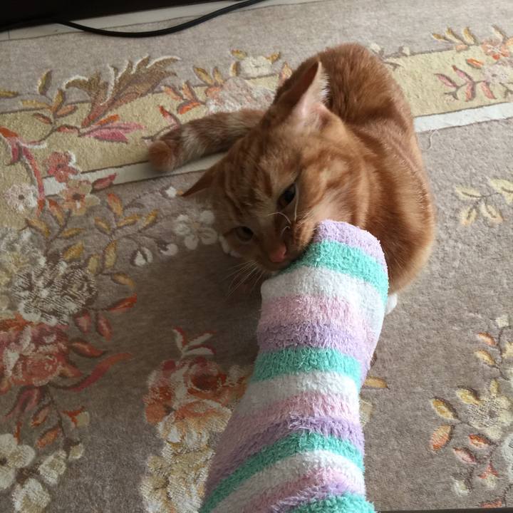 7e879e38 49a5 4ac3 b799 475c96302370 1513037724298