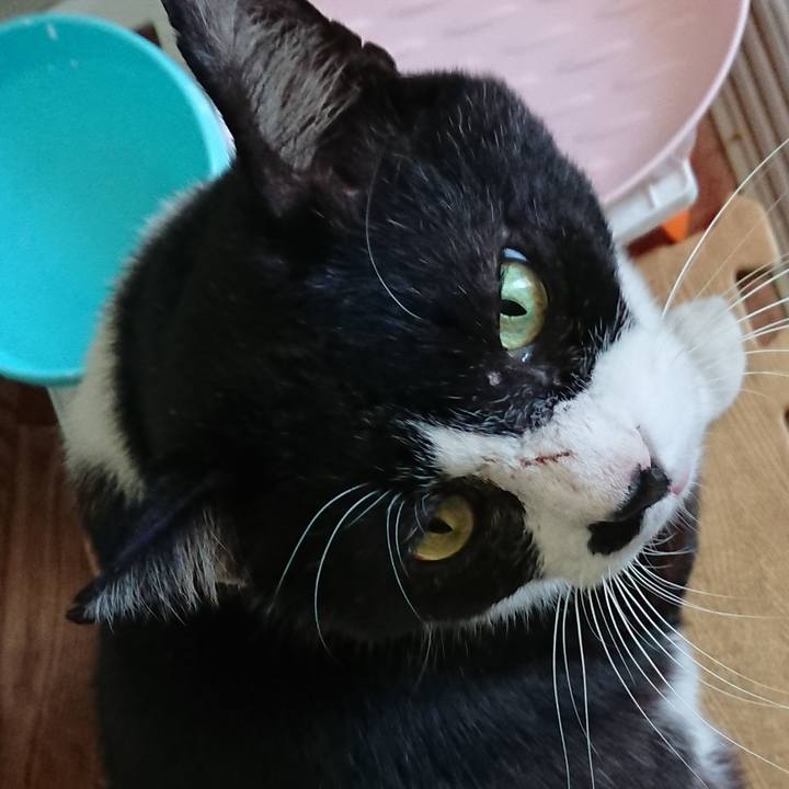 7e87a0a7 6188 4ee9 8c94 8cd8c8e813b6 1541207904911