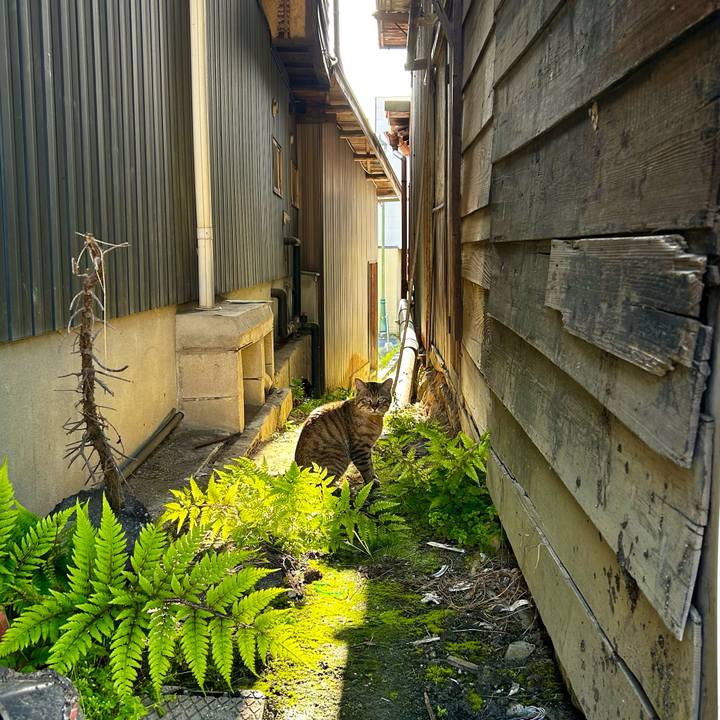 7e87c156 a85d 41cf 889b e31a81914b0a 1714818964020