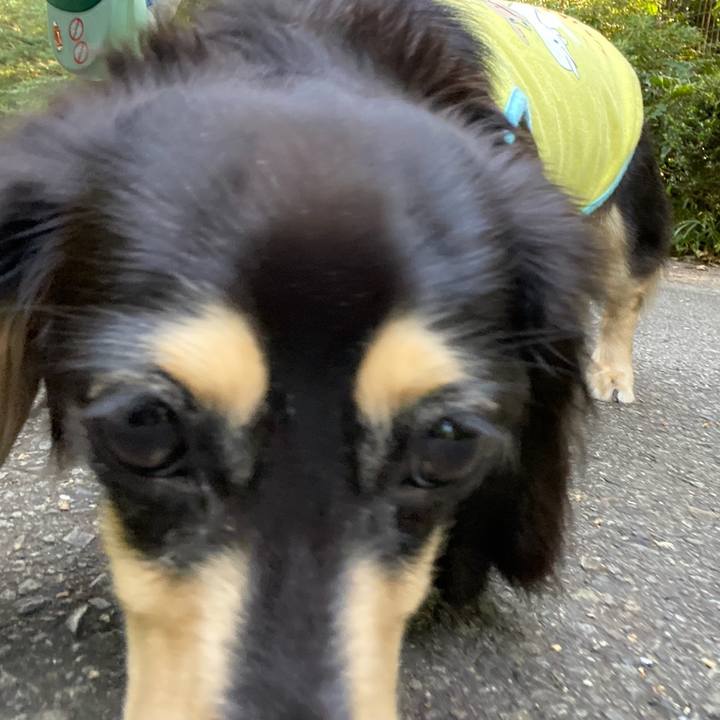 7e87df03 f0e1 4db1 a7a1 e942e9fd5b00 1691276172852