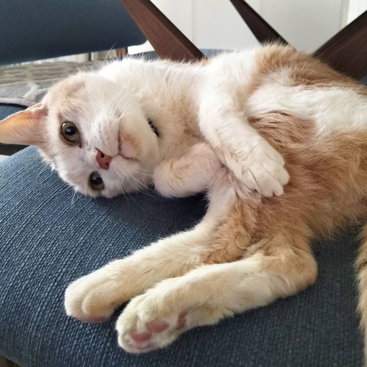 7e87ecb7 05dd 4c32 ad1e b64bf51f54e7 1702247621662