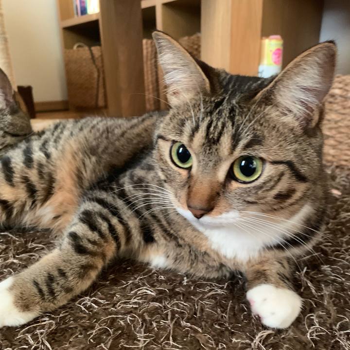 7e8813e5 7ba2 49bd 8a94 01b3cd3b350f 1555488247904