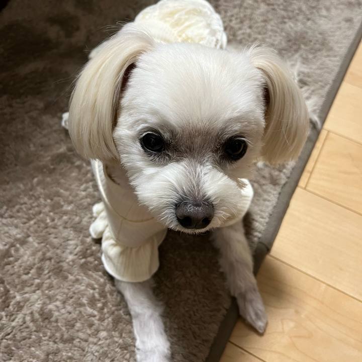 7e883788 7f53 42fb a2d1 2fbfed185e8c 1704099633970