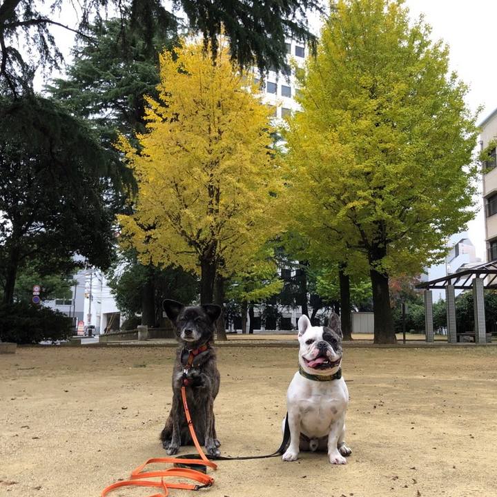 7e883d3e c1f5 4f81 a84b 79e2eb7fe63d 1574511760701