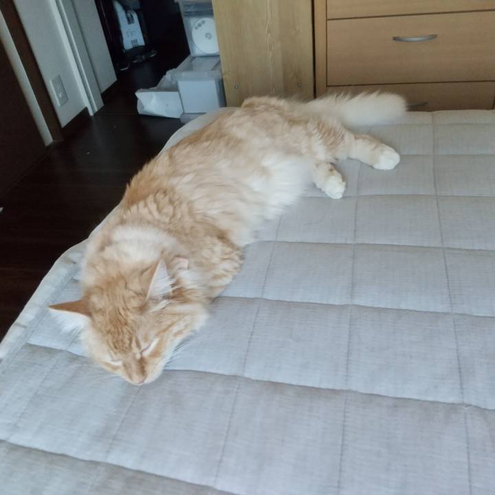 7e8841ea 4828 4ea4 a2c5 02535b04b16a 1626571537521