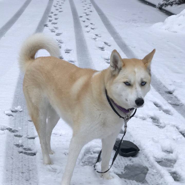 7e884986 4fcb 40b4 a179 d6e3757564e3 1517535686267