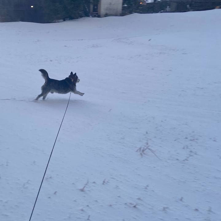 7e885a24 a2db 491f 9a2a 0847f2aa54f4 1769070271630