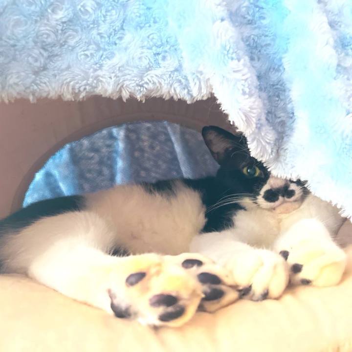 7e8863b0 5842 4b24 9dae 488481ab53ec 1685350059015