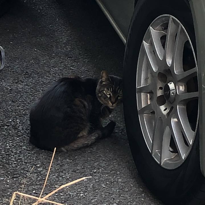 7e8874a7 a57d 45c9 939d 2b186f96f31e 1646725866252