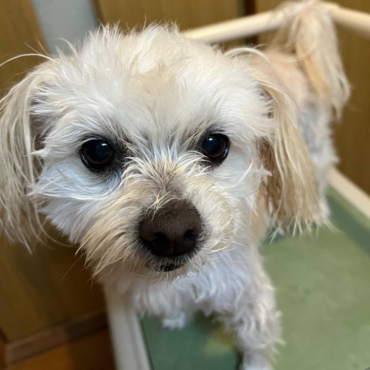 7e8877f5 8b23 4892 b3b0 cd13adaa5855 1681376452877