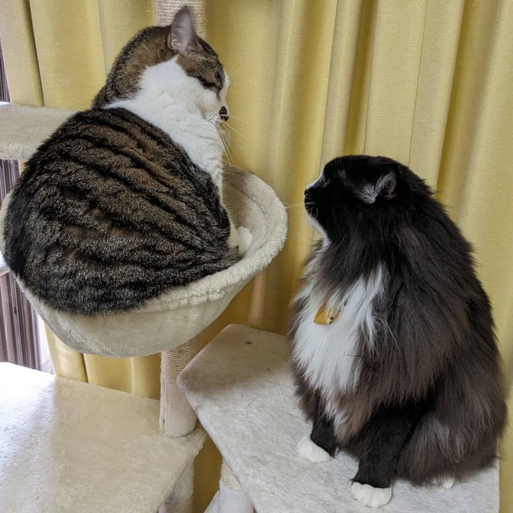 7e8878dd 8029 464a 959e 934d540a5bf0 1693698965929