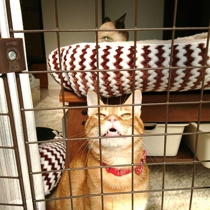 7e888383 cc9f 4f7b 91d3 060f0c3a6bf9 1560898927893