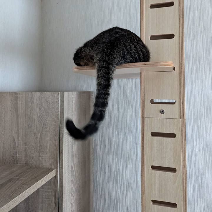 7e889517 155f 4f85 943a 46d22e440846 1728437050164