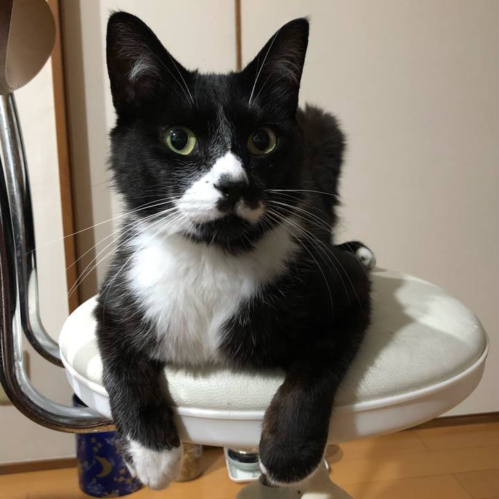 7e889acd c236 4a22 890d 9083b0ee978e 1627875040927