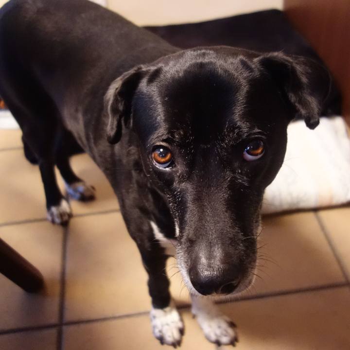 7e889ae7 fbec 4e93 a0c7 a4adc15fc8f0 1708739983692