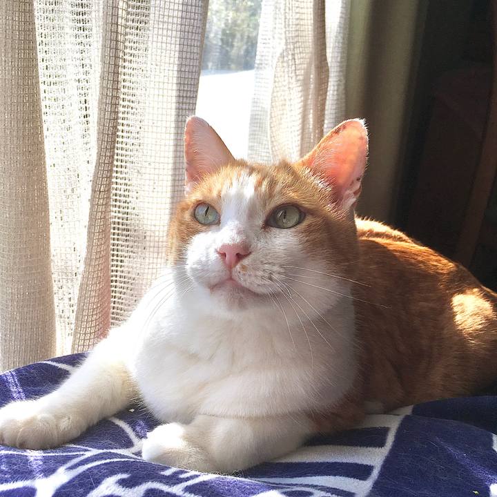 7e88b2bd dc2a 4e6a acf1 79a8df0d655a 1585205880097