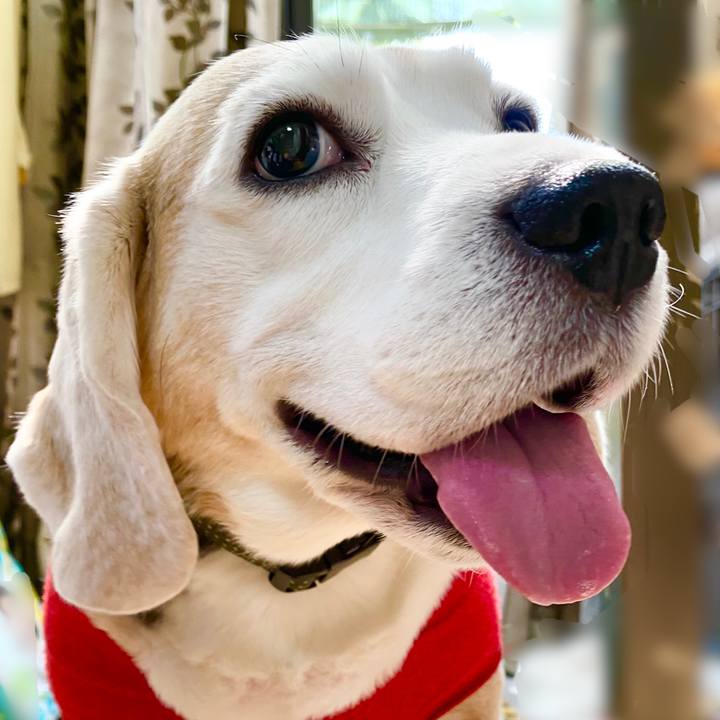 7e891909 e74b 4a32 810c 458a2bdd8fc2 1649129048118