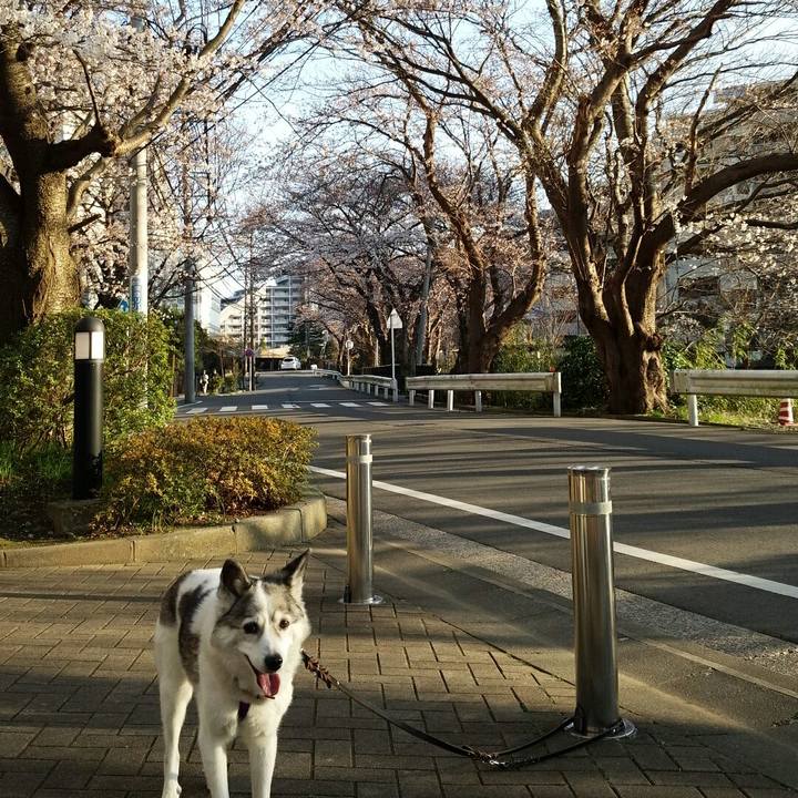 7e894ac9 051b 44c1 862b 29ea68e248ae 1522219878944