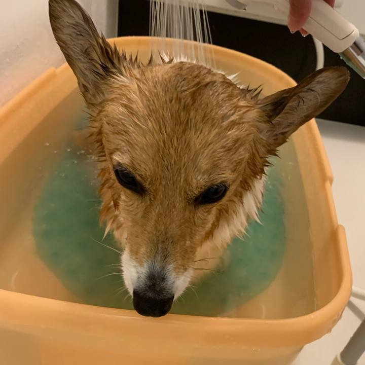 7e8978f4 65a0 40a6 a341 0d45b5ae20e7 1708083680345