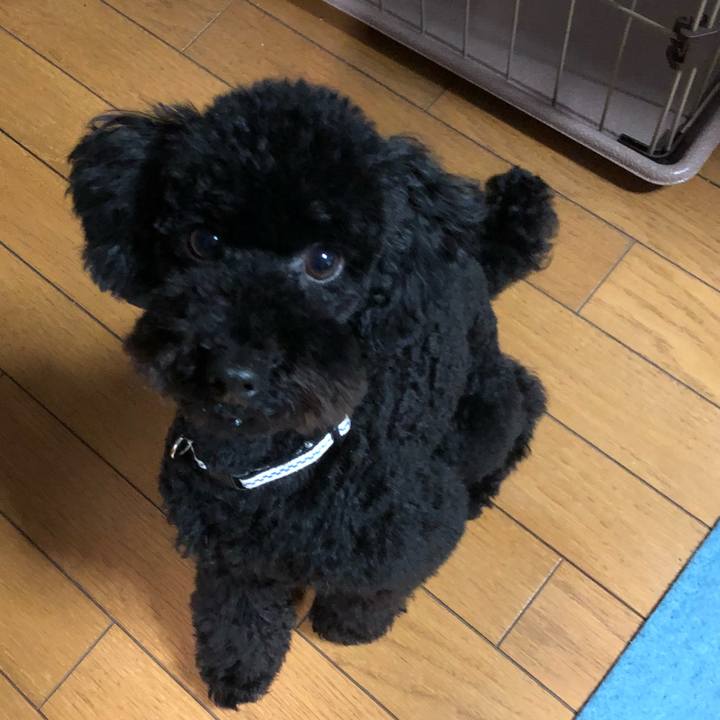 7e899f76 6e43 4f6d 8084 991af6ae2585 1516096350631