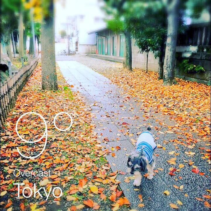 7e89ac1e 4761 4594 851d d73920a1c715 1512087608971