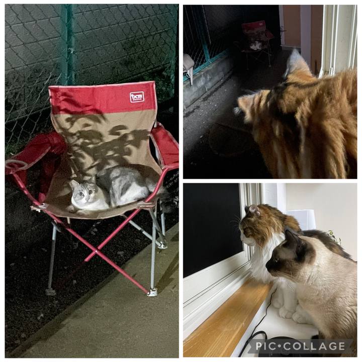 7e89b8af 56b2 43ed 8d66 e019019bc4b7 1759092336904