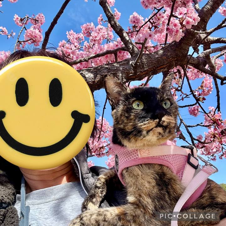 7e89d4fd 102f 4663 bb35 3eca7f695f4a 1772243060900